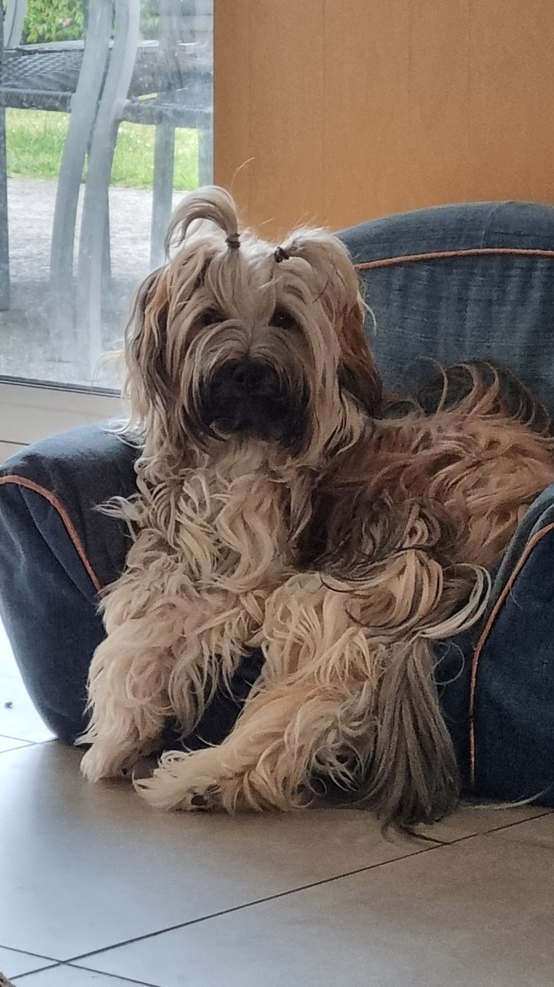 Tess Namkha Mon Amour Tibetain