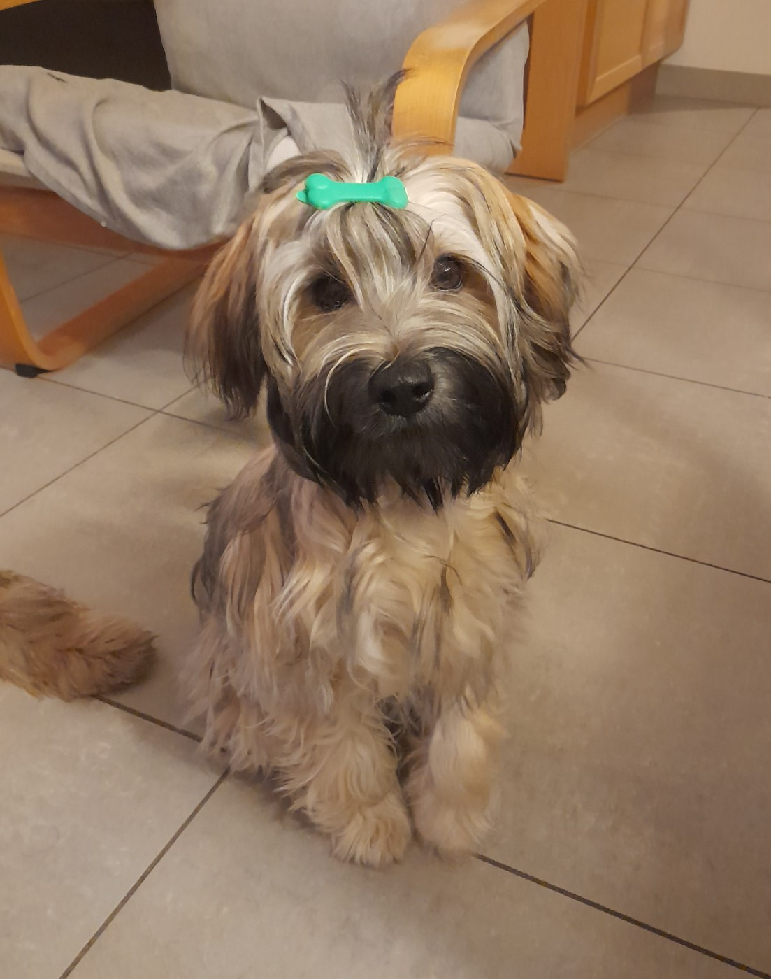 Photos de Tess Namkha Mon Amour Tibétain