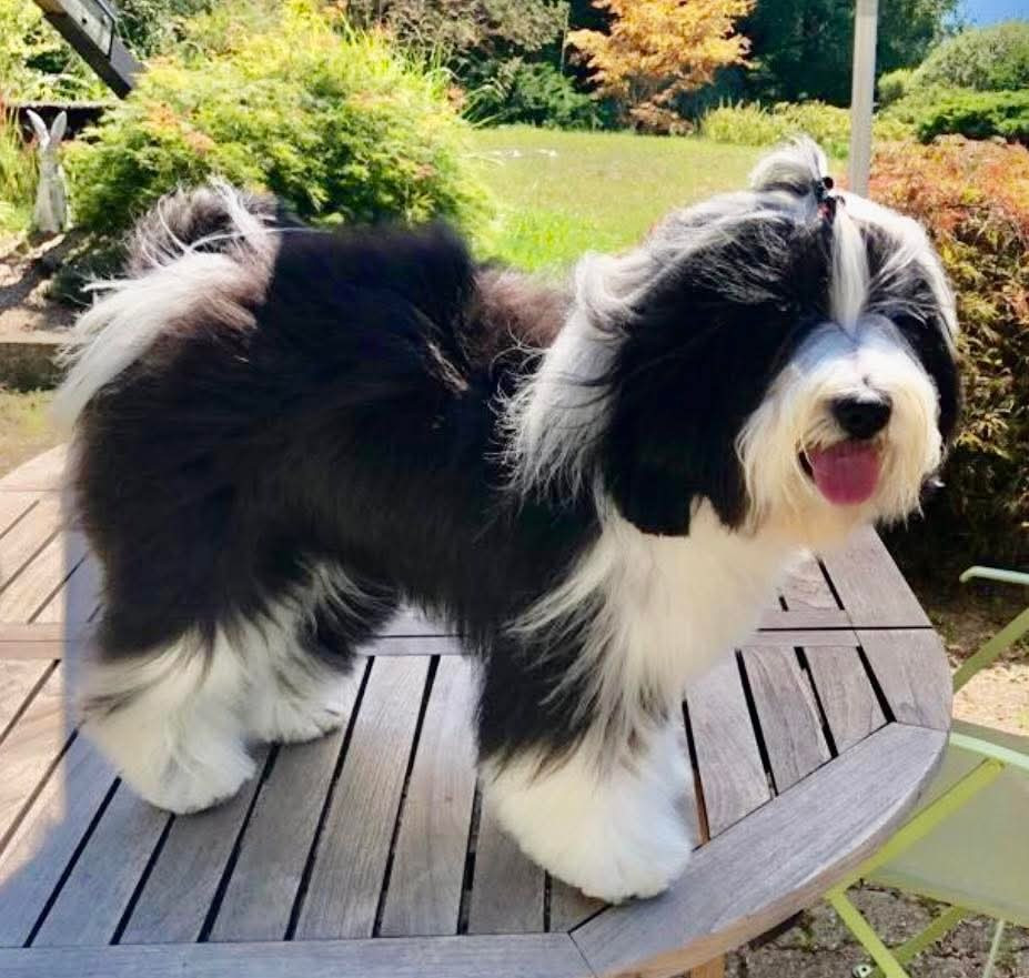 Photos de Kundali Or Gandi